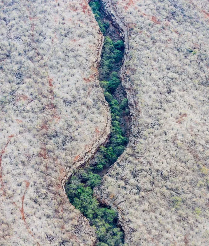 Cauce verde de un río entre territorio árido
